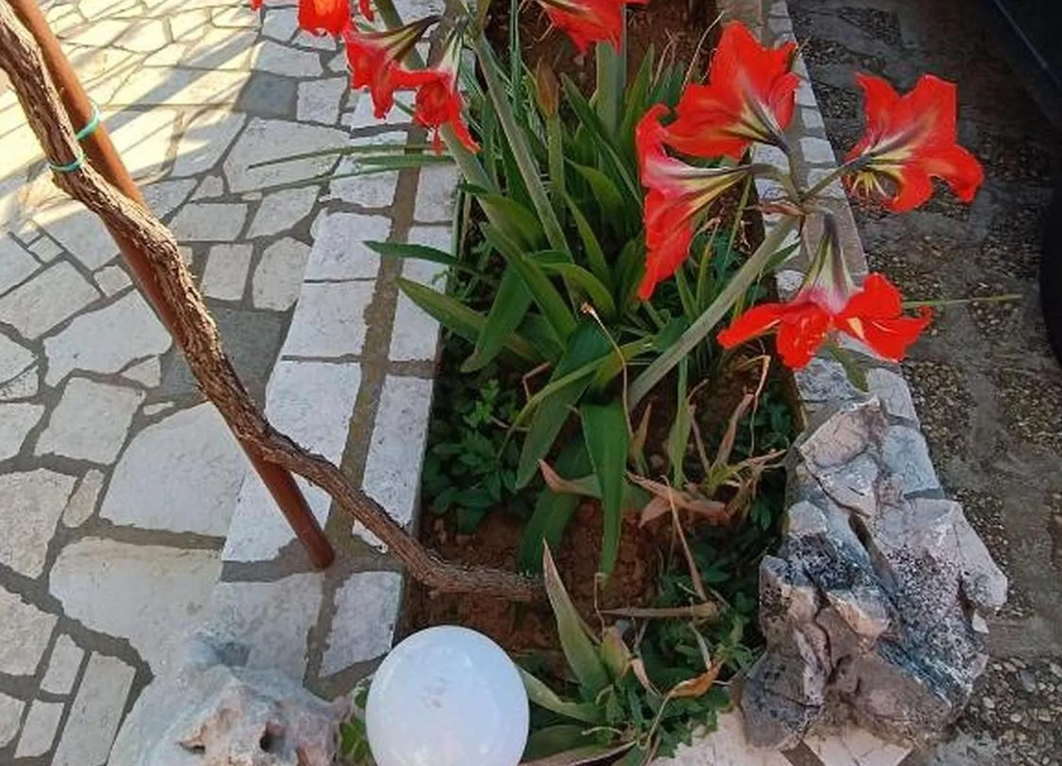 Apartments Rita Cres